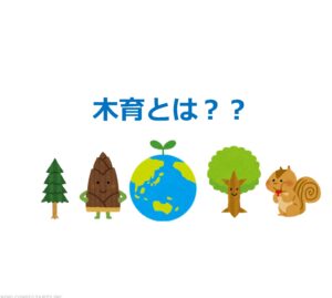 木育ってなあに？