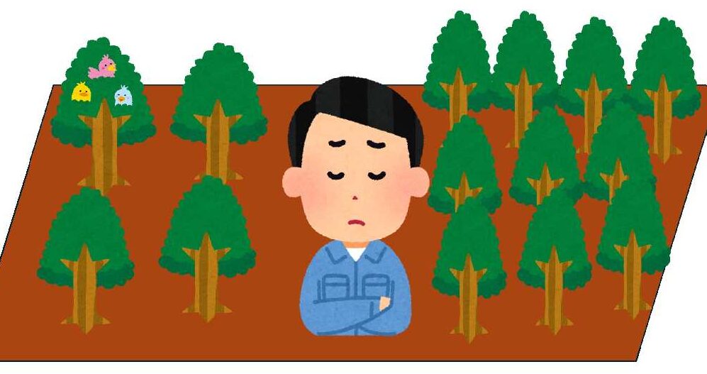 植栽密度で変わる森の個性